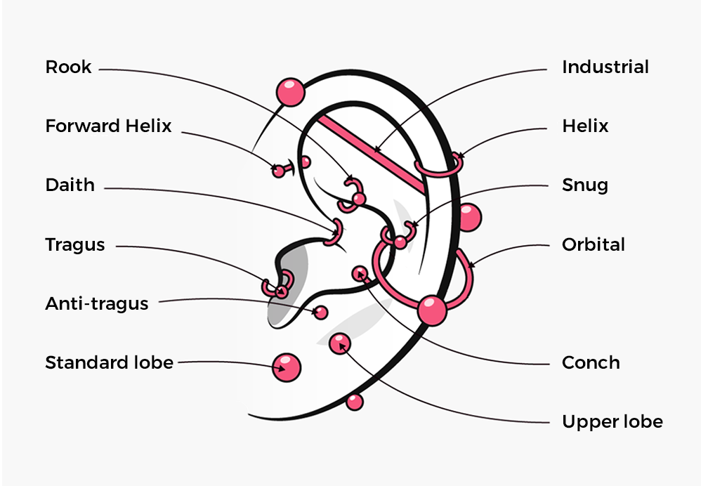 types of holes in the ear