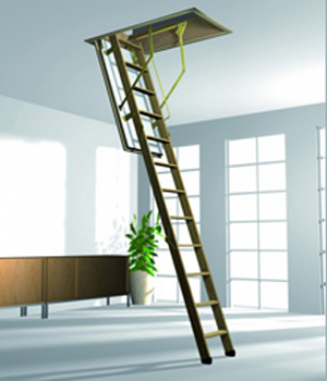 retractable ladder to climb into the loft