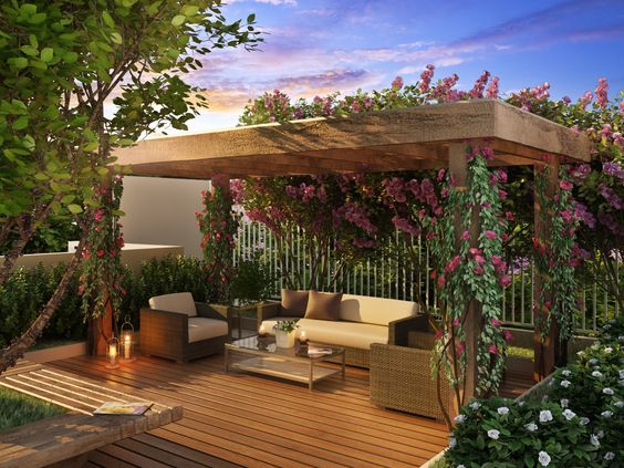 pergola concept