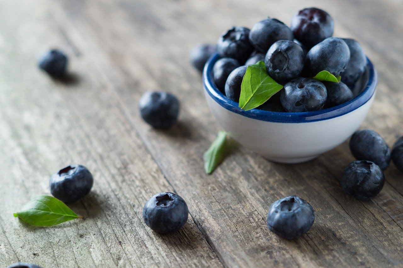 benefits of blueberry on the skin