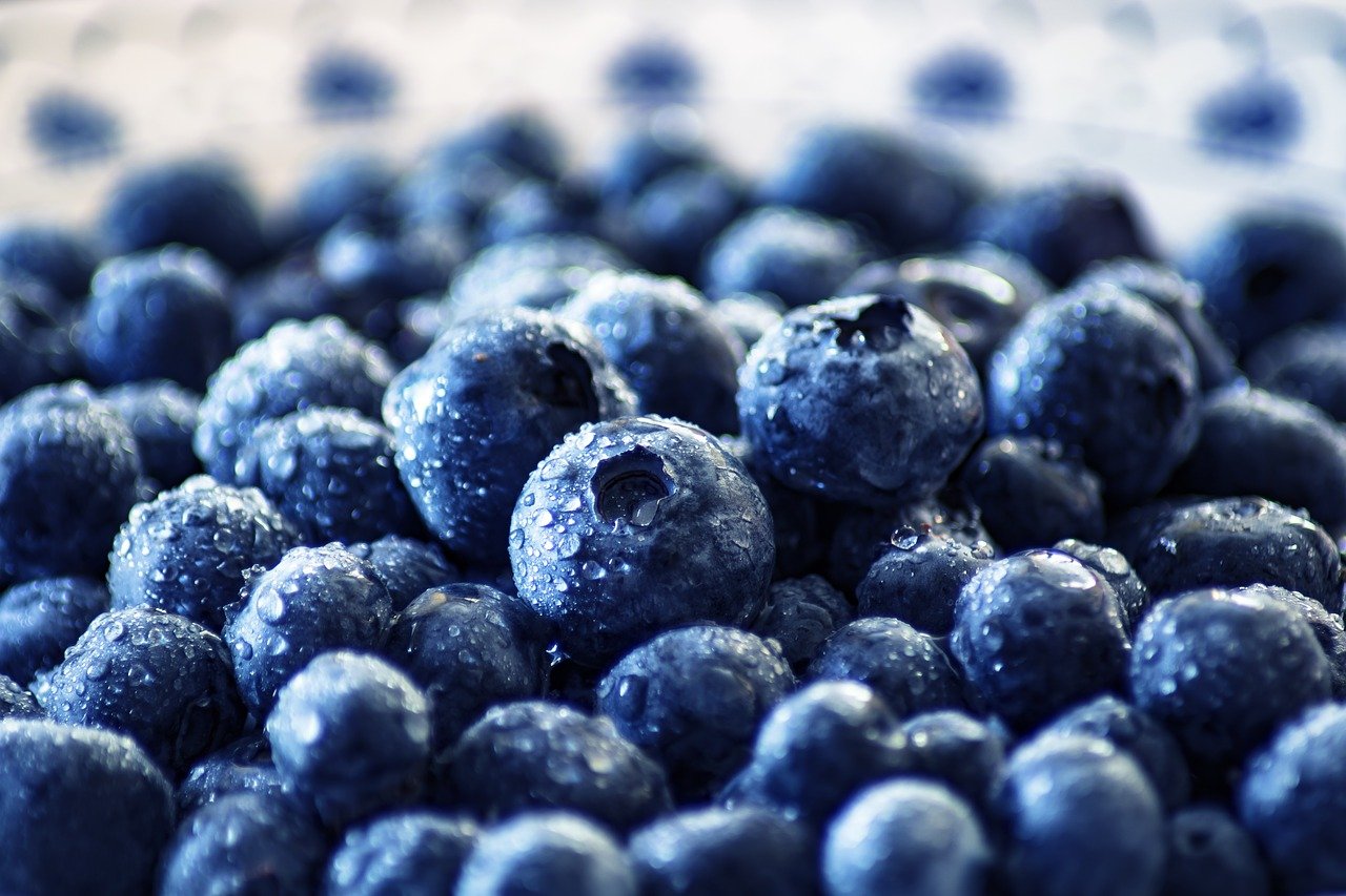 benefits of blueberry on the skin