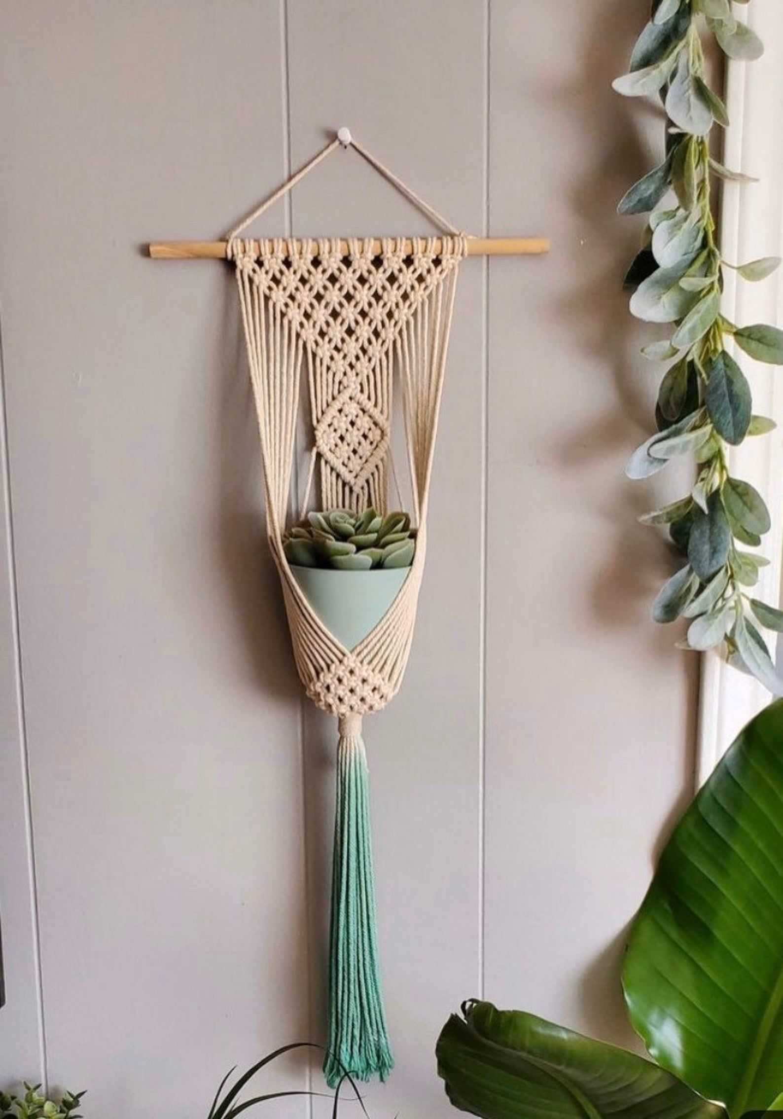 macrame plants