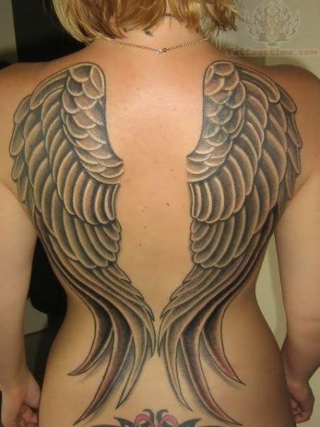 angel wings 2 - wings tattoos