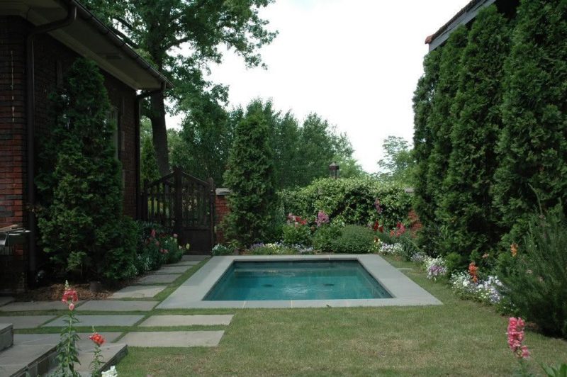 Small garden pool