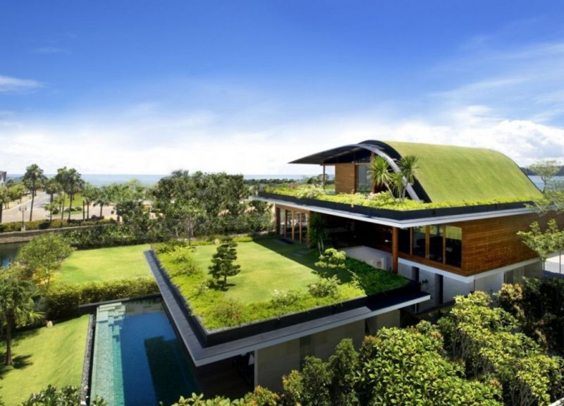 Ecological house 