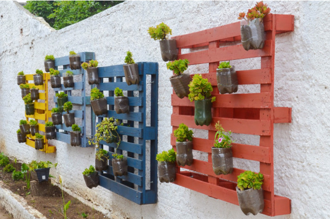 Colored plant pallet panel