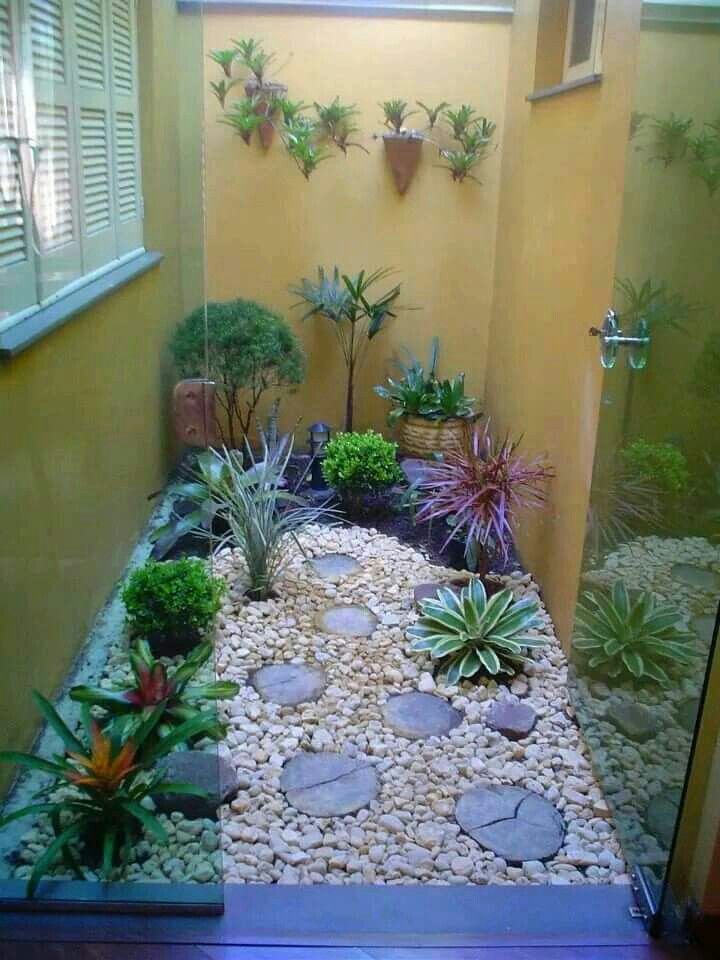 winter garden with succulents