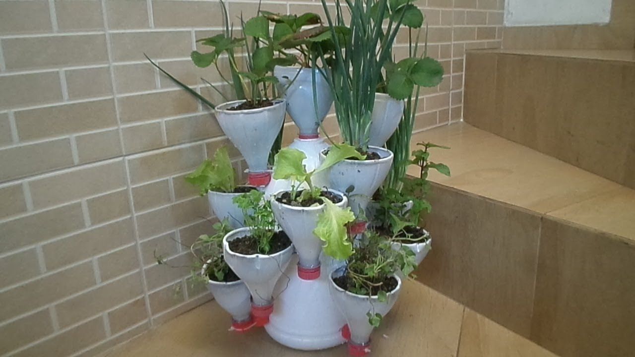 Mini Vegetable Garden Made With Pet Bottle