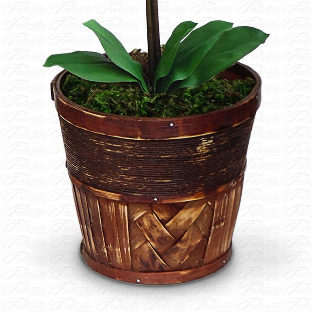 wooden cachepot