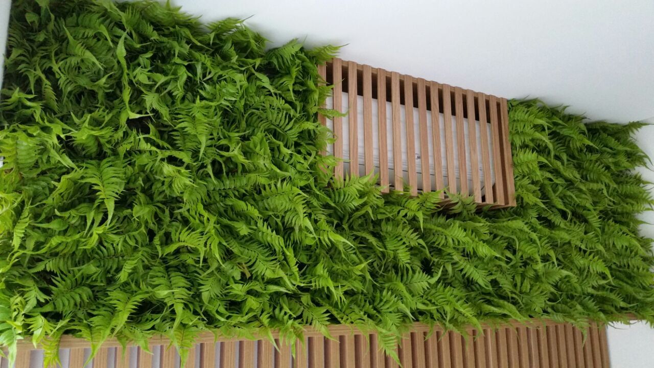 artificial ferns