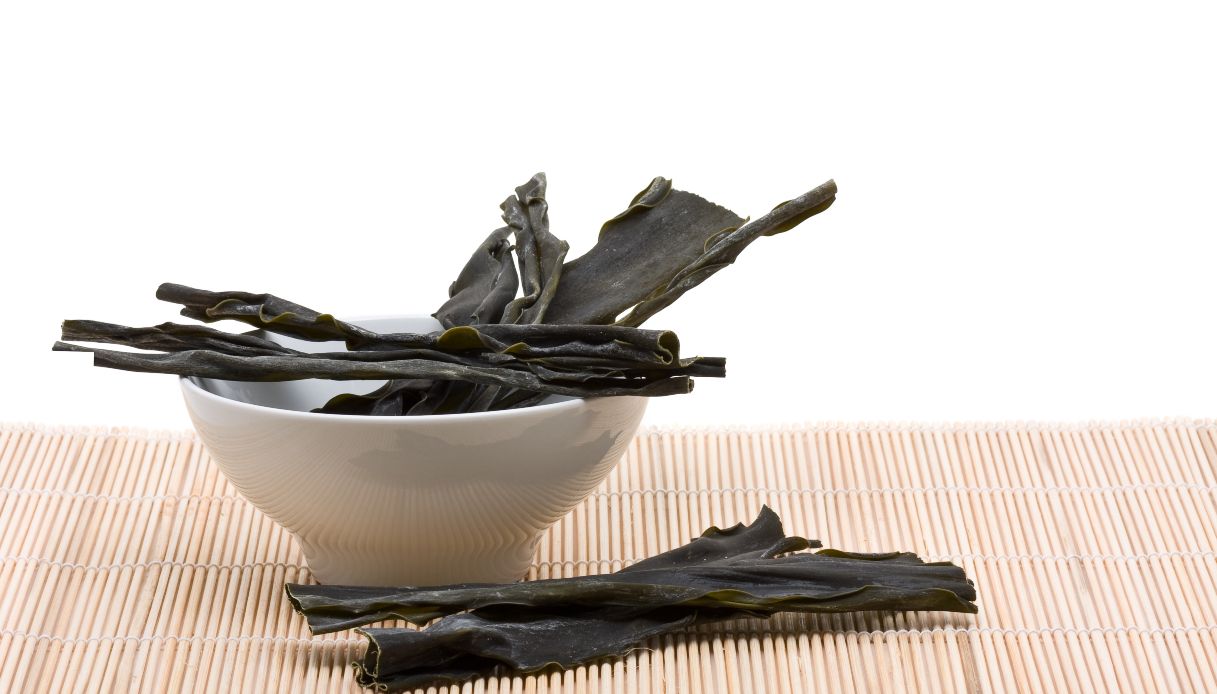 Kombu seaweed what it is, properties and how to use it Trendy Queen