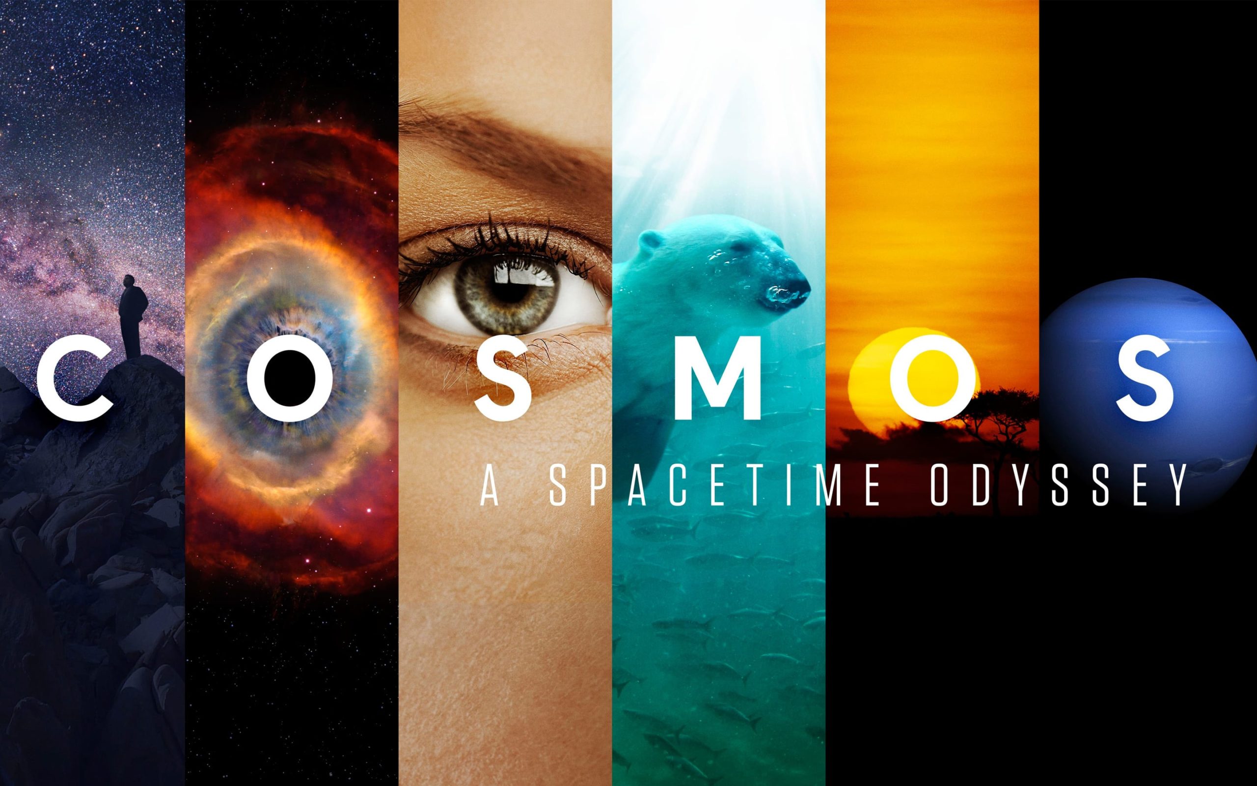 Cosmos: A Spacetime Odyssey