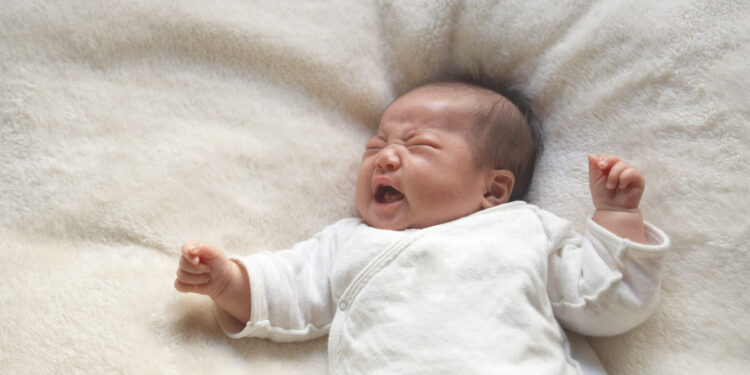 does-letting-babies-cry-cause-brain-damage