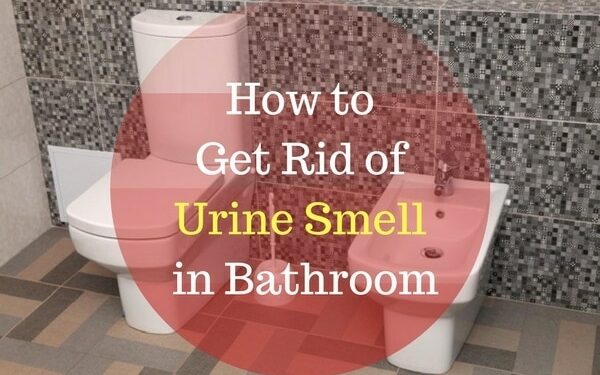 does-vinegar-get-rid-of-urine-smell