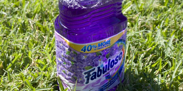 how-do-i-make-my-house-smell-good-with-fabuloso