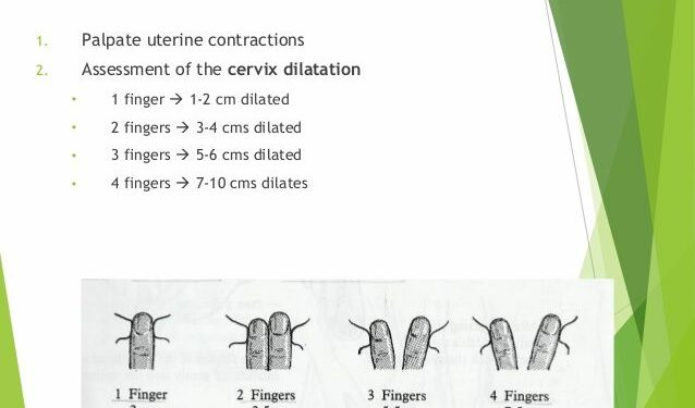 How Many Fingers Is 8 Cm