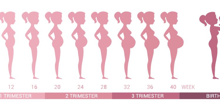 how-old-are-you-in-5th-grade-includes-age-to-grade-chart