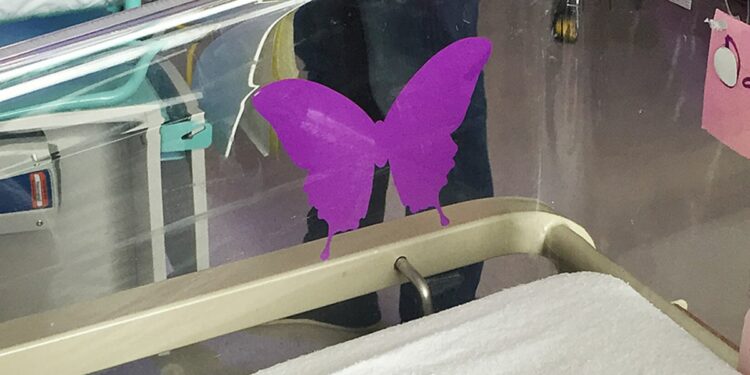 what-does-a-butterfly-mean-on-a-hospital-door