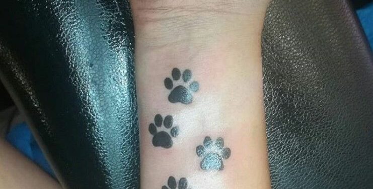 what-does-a-paw-print-mean