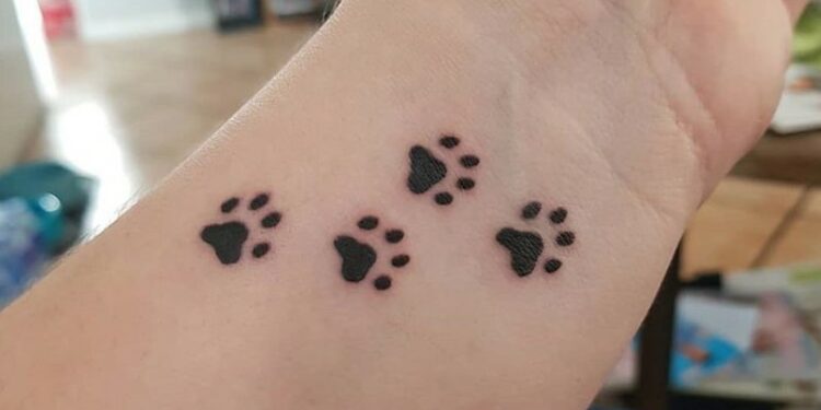 what-does-a-wolf-paw-print-symbolize