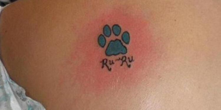 what-paw-print-means