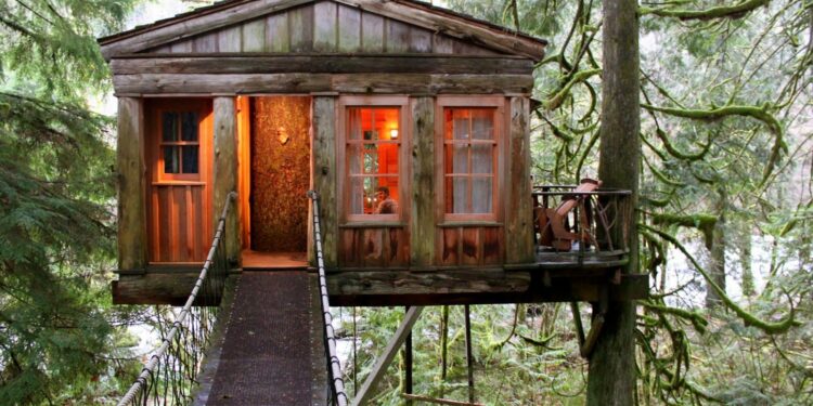 Who makes the best tree houses?